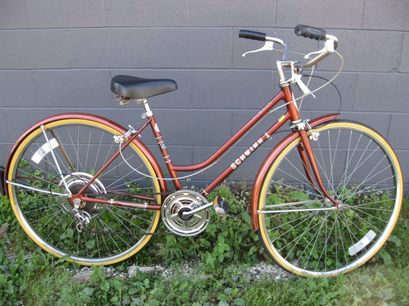 schwinn suburban womens